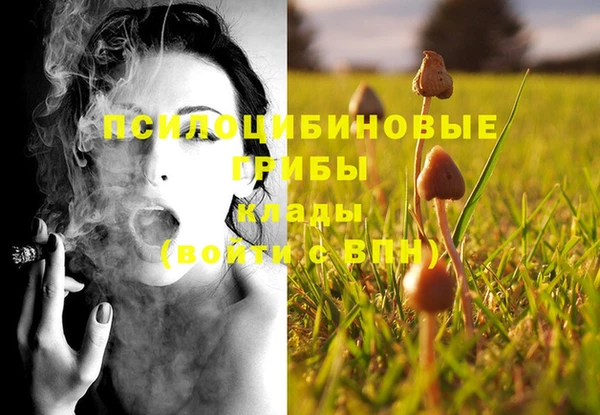 мяу мяу мука Алексин