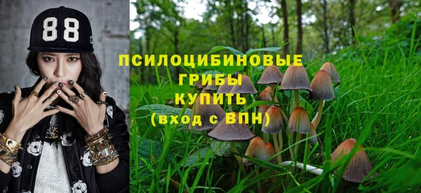 мяу мяу мука Алексин