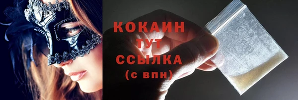 твердый Кулебаки