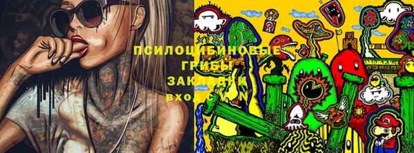 герыч Зеленодольск