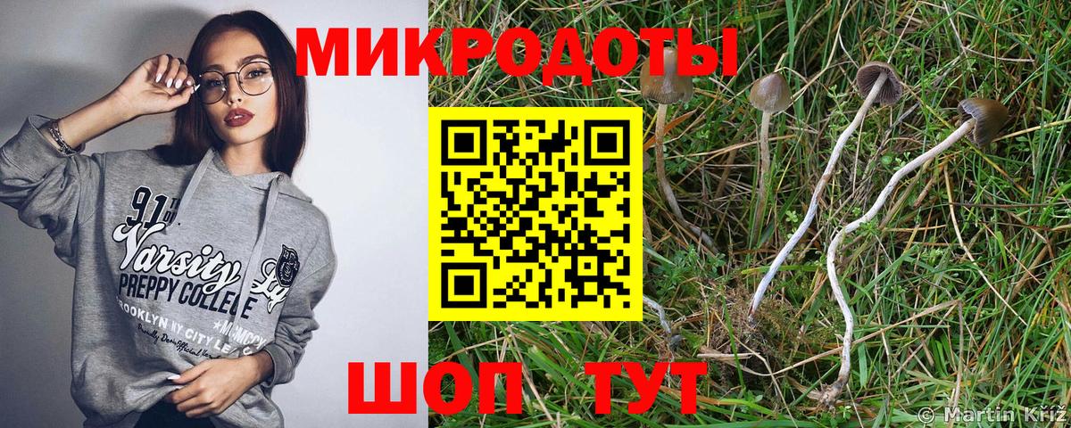 Киржач  Псилоцибиновые грибы Psilocybine cubensis  Вход с VPN 